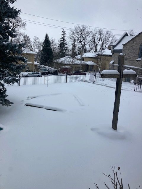 What sort of world…