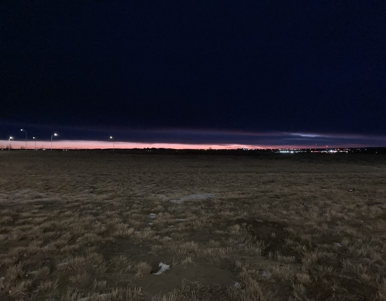 Renewal…in spite of everything